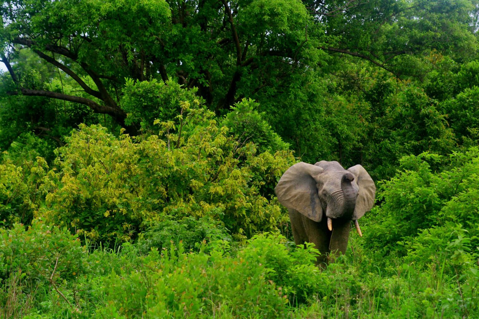 Nature-Experience-Ghana-Tour