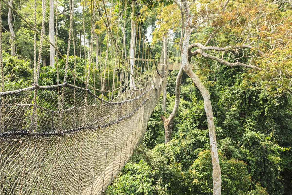 Kakum Canopy Walk